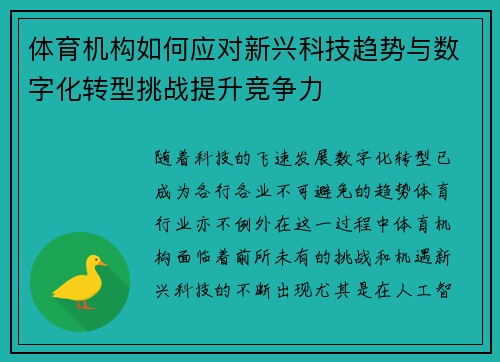 体育机构如何应对新兴科技趋势与数字化转型挑战提升竞争力