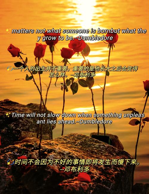 林德斯：所有美好故事终有落幕之时，希望B席享受最后的六周